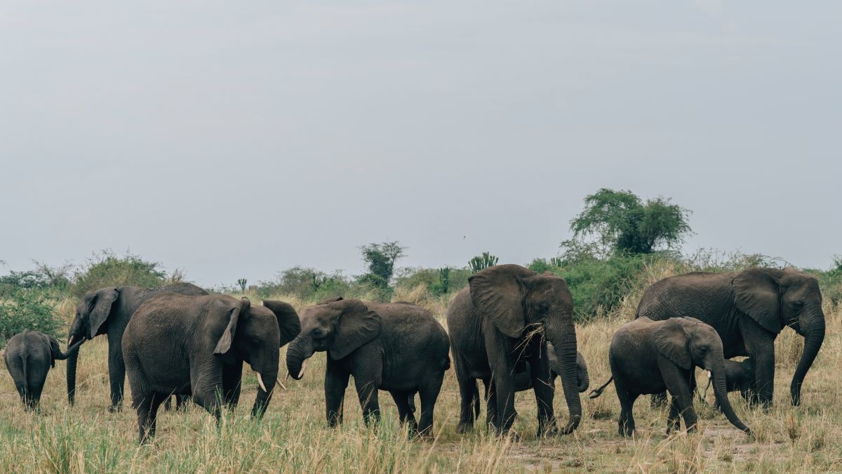 50 Best Places in the World for Wildlife Photography