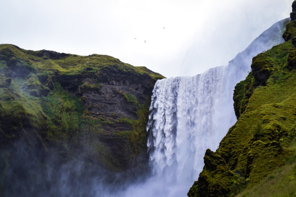 The Ultimate Post-COVID Travel Guide To Iceland - Thrillophilia Stories