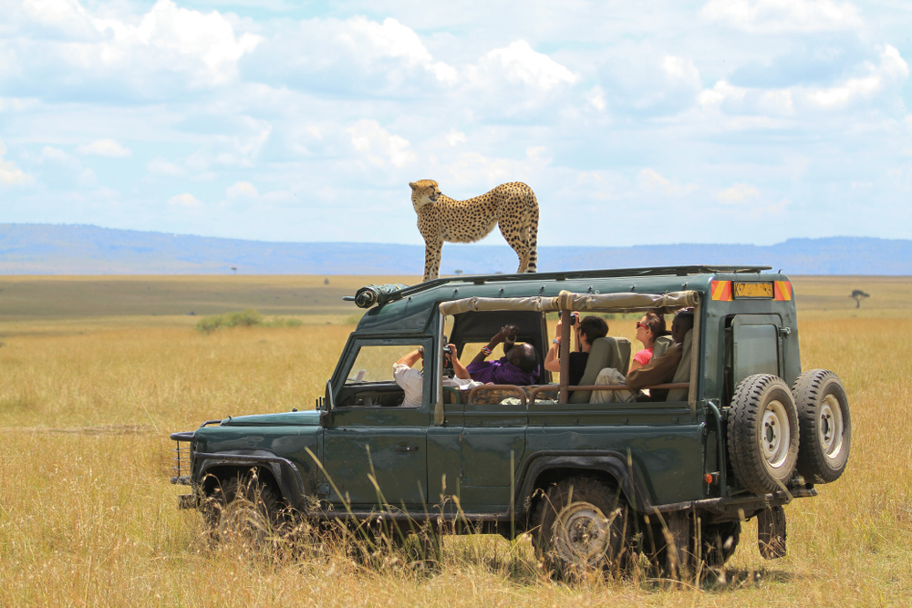 kenya safari guide salary