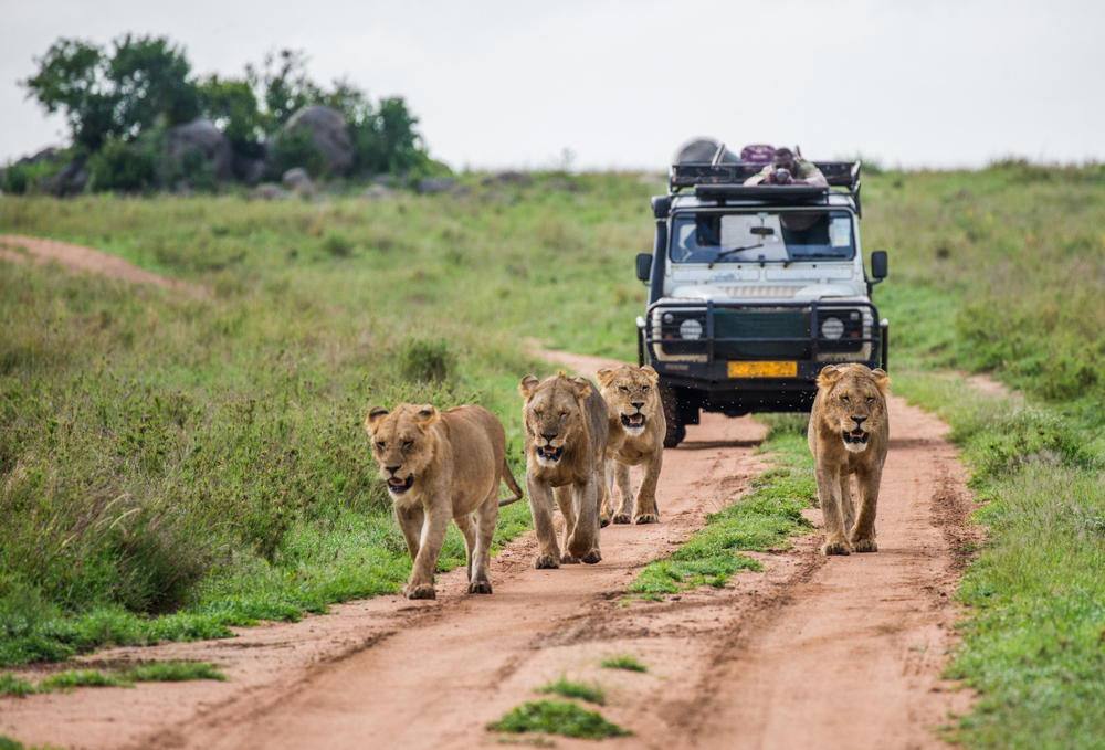 kenya safari guide salary